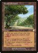 BRC 185 Exotic Orchard R