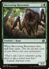 BRO 173 Burrowing Razormaw C