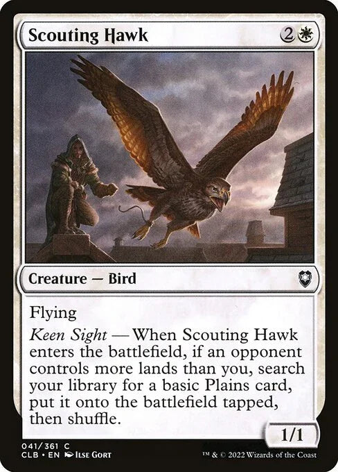 CLB 041 Scouting Hawk C