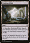 [Foil] CLB 352 Evolving Wilds C