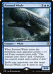 CLB 732 Pursued Whale R