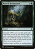 CLB 829 Natural Reclamation C