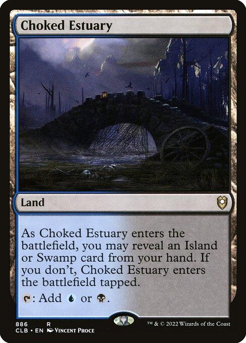 CLB 886 Choked Estuary R