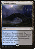 CLB 886 Choked Estuary R