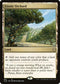 CLB 893 Exotic Orchard R