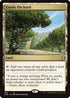 CLB 893 Exotic Orchard R