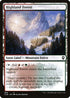 CLB 896 Highland Forest