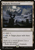 CLB 905 Nephalia Drownyard R