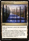 CLB 907 Path of Ancestry C