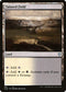 CLB 919 Tainted Field U