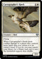 CMM 018 Cartographer's Hawk U