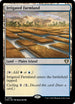 CMM 1005 Irrigated Farmland R