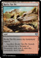 CMM 1021 Rocky Tar Pit U