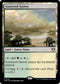 CMM 1026 Scattered Groves R