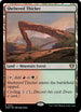 CMM 1032 Sheltered Thicket R