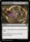 CMM 182 Read the Bones C