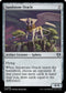 [Foil] CMM 406 Sandstone Oracle U