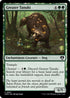 CMM 897 Greater Tanuki C