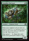 DFT 167 Loxodon Surveyor C