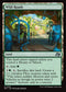 DFT 269 Wild Roads