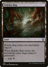 DMC 199 Bojuka Bog C