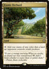 DMC 209 Exotic Orchard R