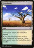 DMC 214 Grasslands U