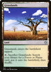 DMC 214 Grasslands U