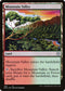 DMC 219 Mountain Valley U