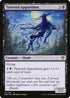 DMU 111 Tattered Apparition C