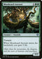DMU 173 Mossbeard Ancient U