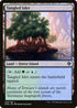 [Foil] DMU 258 Tangled Islet L