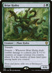 [Foil] DMU 286 Briar Hydra R