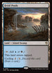 DRC 156 Fetid Pools
