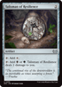 DSC 255 Talisman of Resilience U