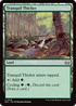 DSC 318 Tranquil Thicket C