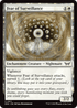 DSK 011 Fear of Surveillance C