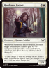 DSK 016 Hardened Escort C