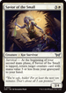 DSK 027 Savior of the Small U