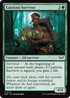 DSK 172 Cautious Survivor C