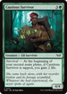 DSK 172 Cautious Survivor C