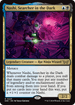 DSK 223 Nashi, Searcher in the Dark R