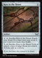 [Foil] DSK 251 Keys to the House U