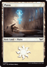 DSK 277 Plains (0277) L
