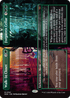 DSK 341 Walk-In Closet // Forgotten Cellar (0341 - Borderless) M