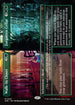 [Foil] DSK 341 Walk-In Closet // Forgotten Cellar (0341 - Borderless) M