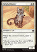 FDN 016 Helpful Hunter C