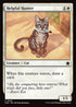 [Foil] FDN 016 Helpful Hunter C