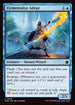 [Foil] FDN 036 Elementalist Adep C