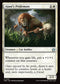 FDN 135 Ajani's Pridemate U